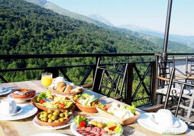 �W��1200���̐�i�I�R�\�{ �V��̒����͂�u�z�e���V���[���v�̋L���T���l�C��