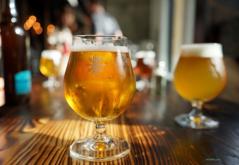 �P�x�b�N100%�̐H���y���߂�u�� �O�����}���V�F�v