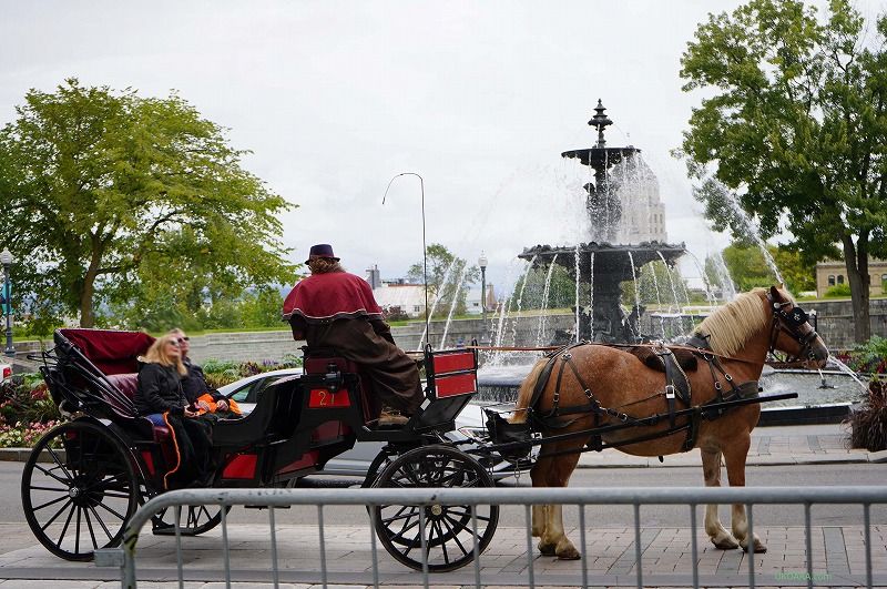 �P�x�b�N�B�̐����̒��S�u�P�x�b�N�B�c�����v