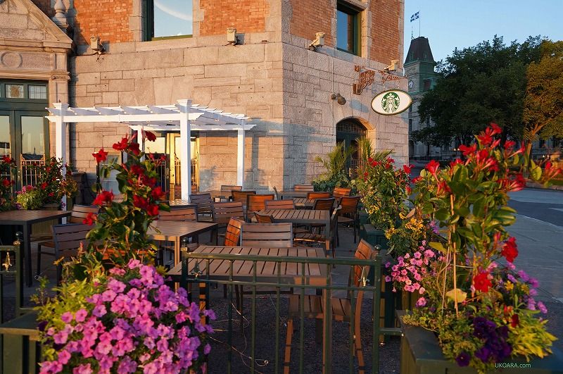 �ό��̋��_�ɂȂ�u�� �V���g�[ �t�����e�i�b�N�v