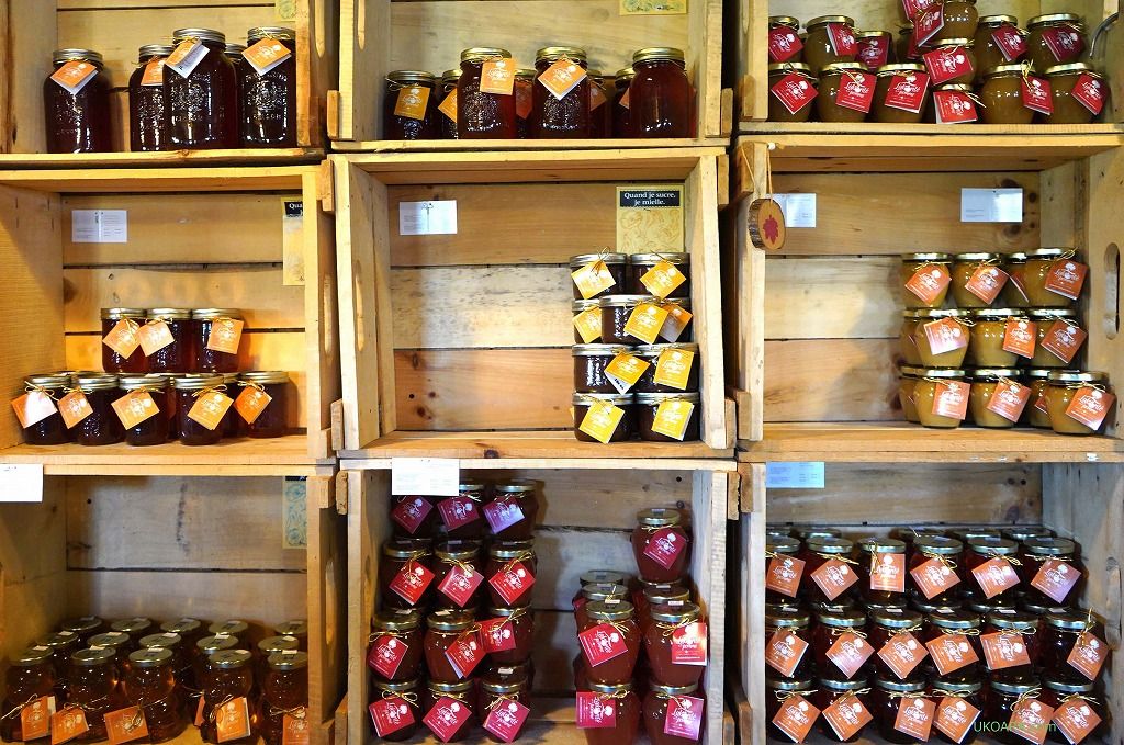 ���y�Y�͎��Ɛ����[�v���o�^�[�ɃA�b�v�������[�v���W�F���[