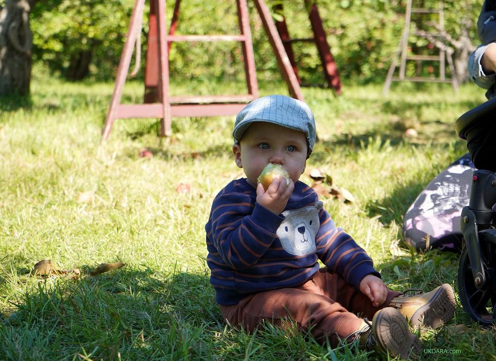 �����S��肪�y���߂�̂�7������10����