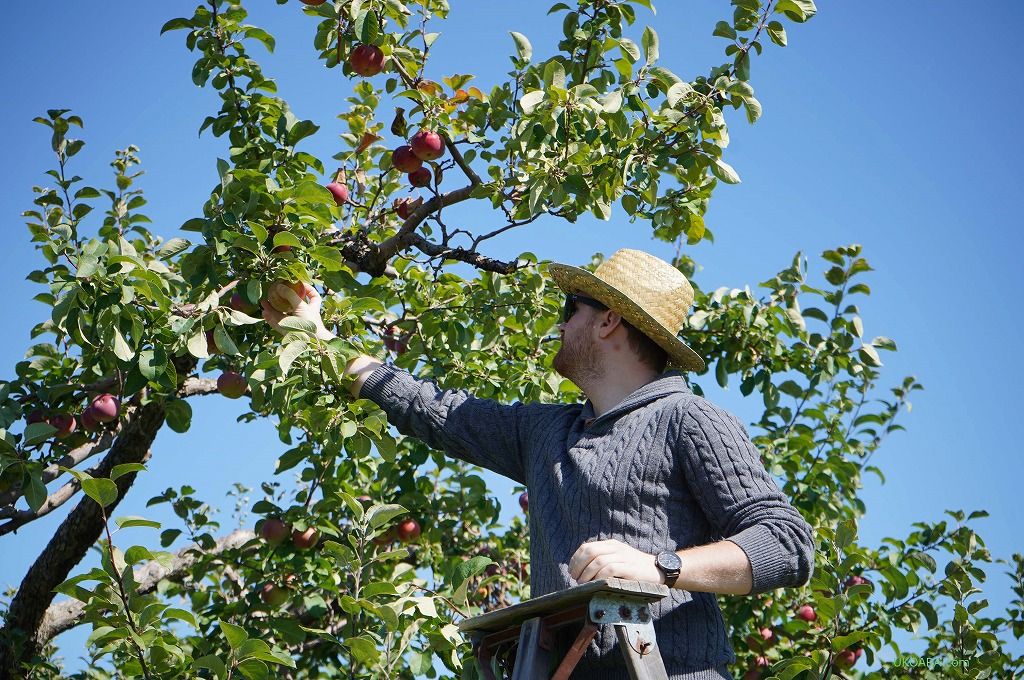 �����S��肪�y���߂�̂�7������10����