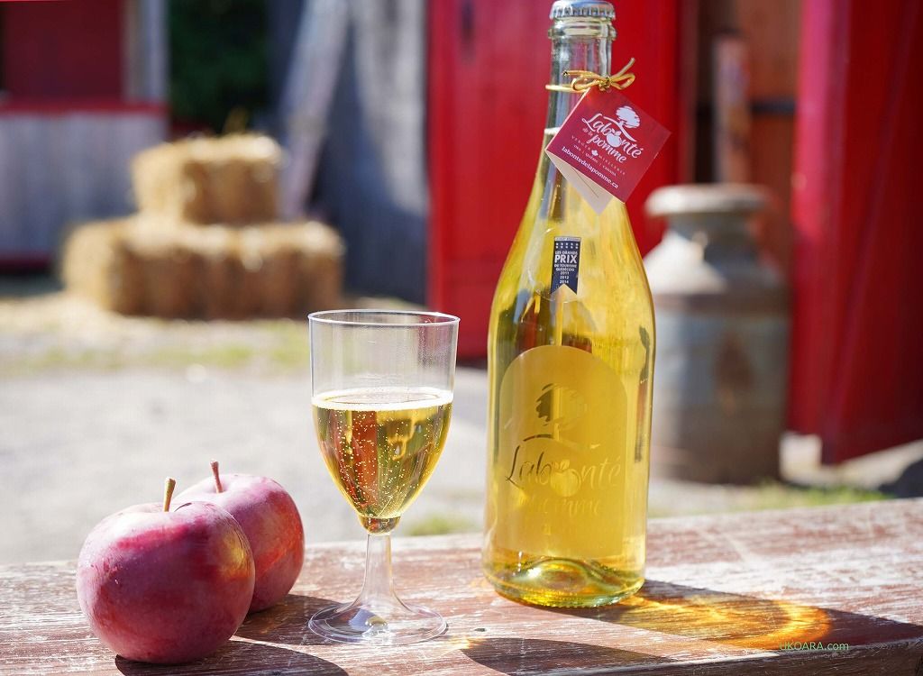 �����S��肪�y���߂�̂�7������10����