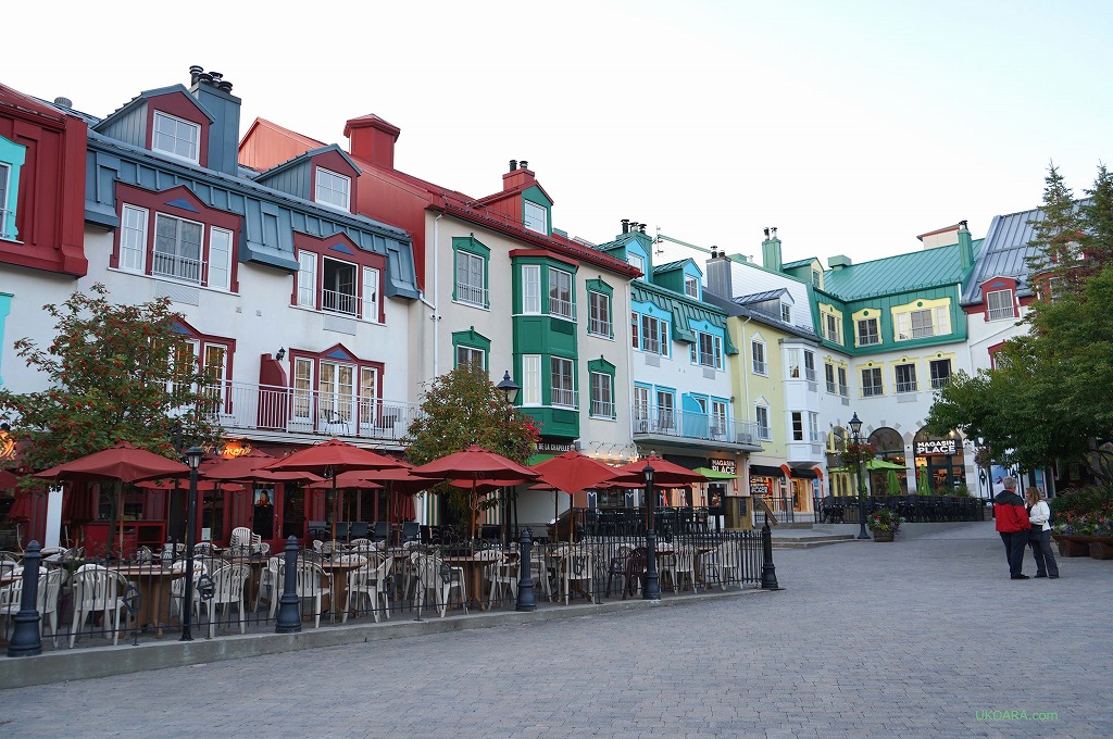 XL[iCgnCNuTONGA LUMINAv