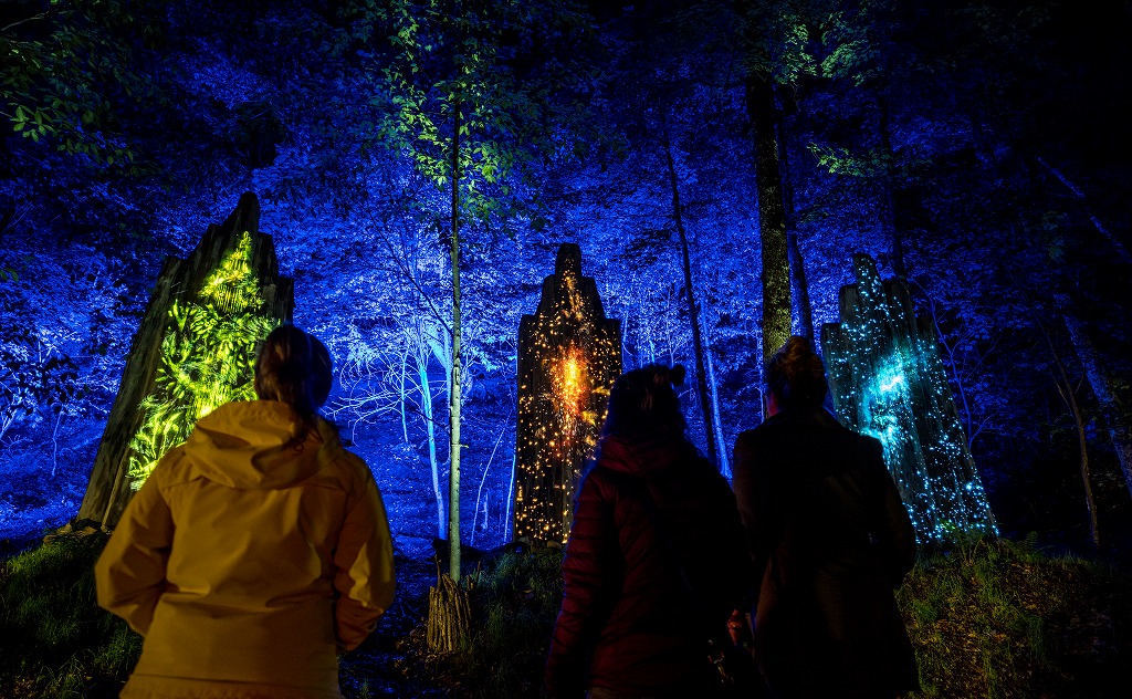 XL[iCgnCNuTONGA LUMINAv