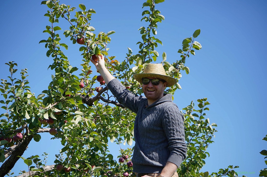 SʎuLabonte de la pommeṽu`ɐ
