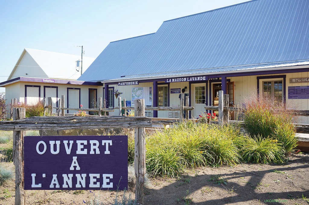 x_[̍ɕ܂LA MAISON LAVANDE