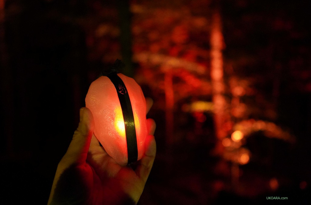 XL[iCgnCNuTONGA LUMINAv