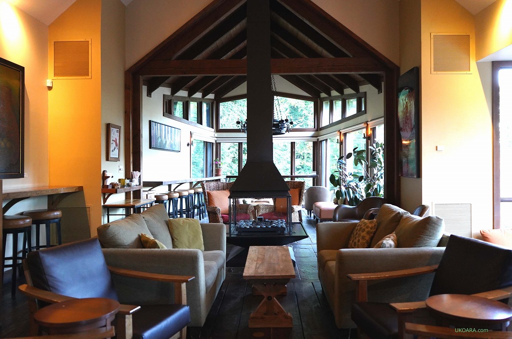 kX^C̃XpŐuSCANDINAVE SPAv