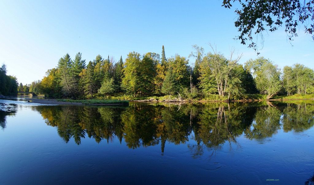 kX^C̃XpŐuSCANDINAVE SPAv