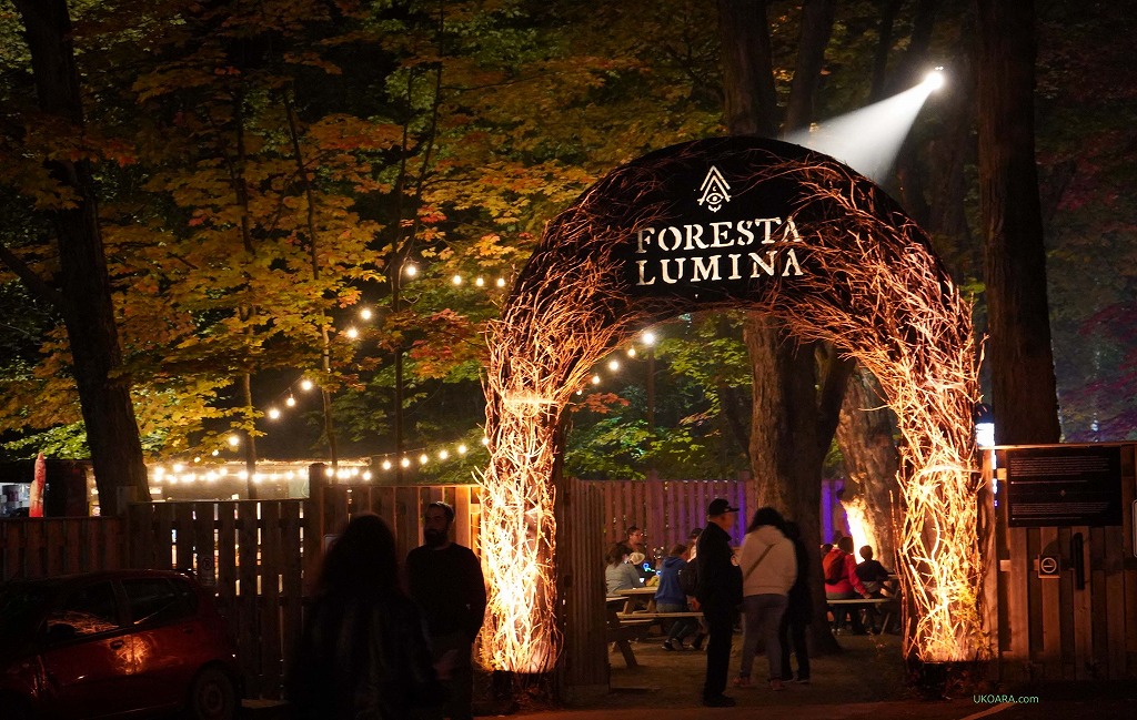 森の中で最新デジタルアート体験「フォレスタルミナ/Foresta Lumina」