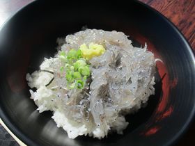 ɏu炷vVSuԕxmvÉEcq̉Y`̃}Xgt[hI̋LTlC