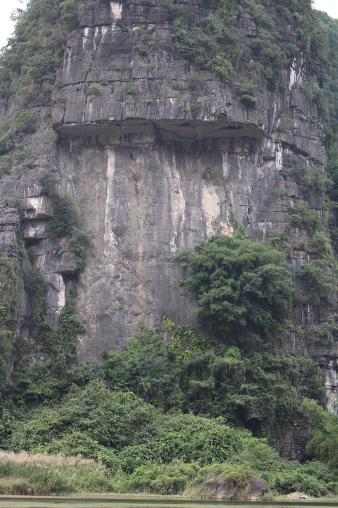 `A͉fuLORO 鐓̋_ṽPnI