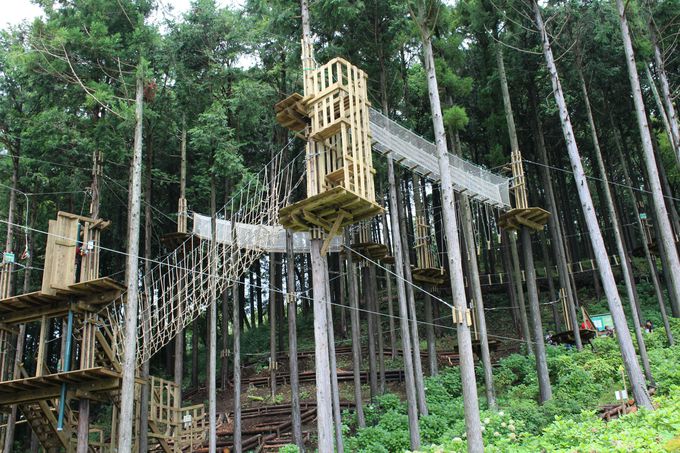 三島でジップラインを大滑走 スカイウォークグルメ 静岡県 トラベルjp 旅行ガイド