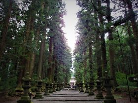 これぞ神域！「北口本宮冨士浅間神社」で深山幽谷の雰囲気を味わう