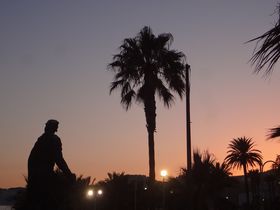 �X�y�C���̒m��ꂴ��l�C���]�[�g�u�A�����j�F�J���v�̋L���T���l�C��
