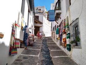�u�A���v�n���v�̓n�C�W�̐��E�I�O���i�_�̔��������ȓc�ɑ��̋L���T���l�C��