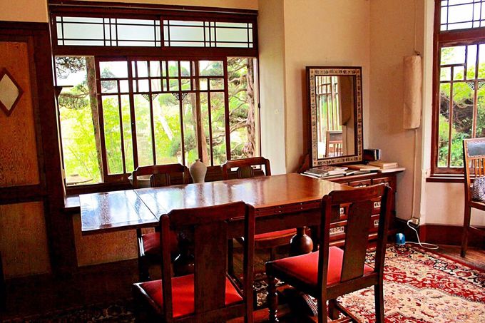 �D��ȃe�B�[�^�C��