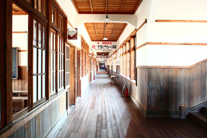 ���j�ɐG���ЂƎ����E�E�E