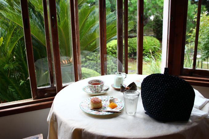 �D��ȃe�B�[�^�C��