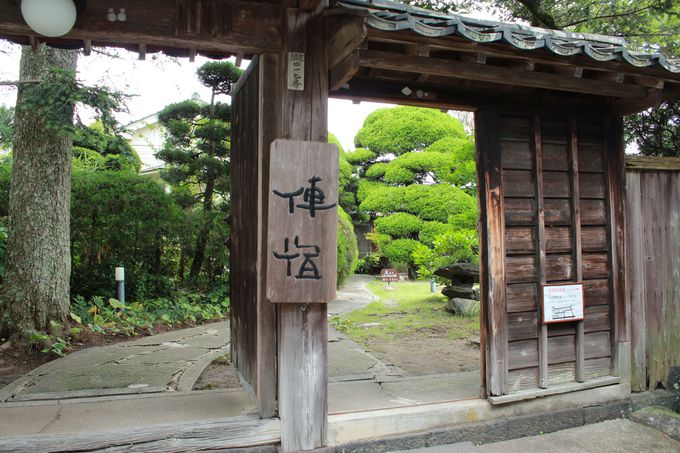 ���j����ޏh