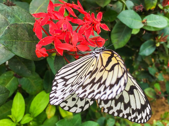 �H�ׂ���͉^���I�����ăA�C�����l��