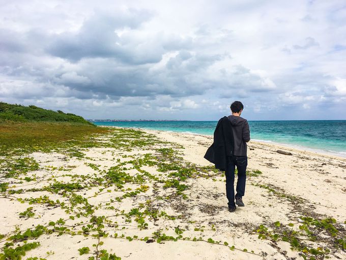 �H�ׂ���͉^���I�����ăA�C�����l��