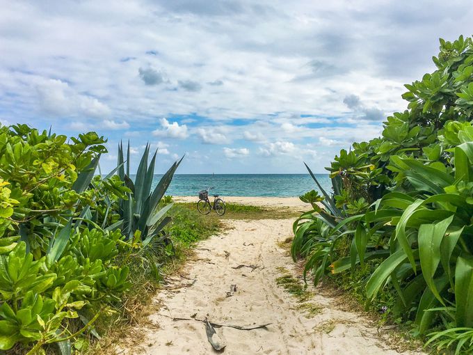 �H�ׂ���͉^���I�����ăA�C�����l��