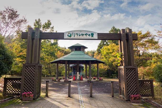 �g���C���̌�͂����C�Ń����b�N�X