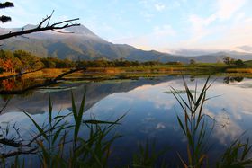 ���񂾐��������I ���̋G�߂���"����"�̌΂����ɍs�����̋L���T���l�C��