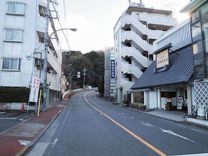 ジブリ映画 耳をすませば の聖地 聖蹟桜ヶ丘のいろは坂を歩いてみよう 東京都 トラベルjp 旅行ガイド