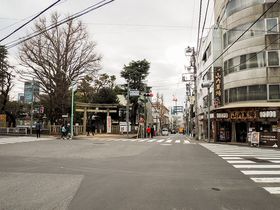 村上春樹ファンの聖地、東京・千駄ヶ谷の八幡坂界隈を歩いてみよう