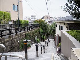 ߑ㕶w˂̍⓹AE{̒YcƊEG⓹߂̋LTlC