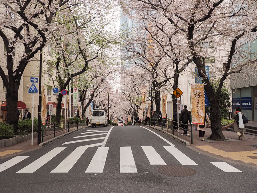 渋谷駅前にも桜スポットあり 渋谷桜丘のさくら坂と界隈坂道めぐり 東京都 トラベルjp 旅行ガイド