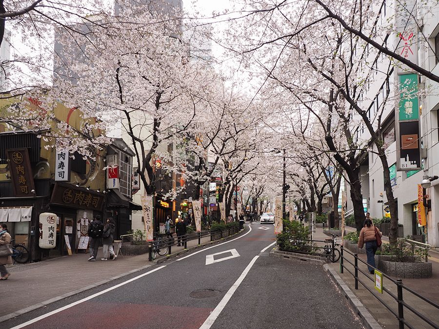 渋谷駅前にも桜スポットあり 渋谷桜丘のさくら坂と界隈坂道めぐり 東京都 トラベルjp 旅行ガイド