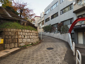 h}ubvV[̕IEԍ̓암ƊEG⓹߂̋LTlC