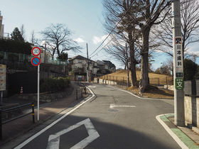 大宮八幡宮・和田堀公園と一緒に歩く。杉並区・大聖寺坂と界隈史跡巡り