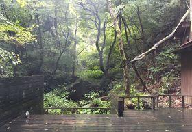 ����E�R���̐X�ɘȂށu���R�{�k�[���v��i�r�[�t�V�`���[�͍K���̖��̋L���T���l�C��