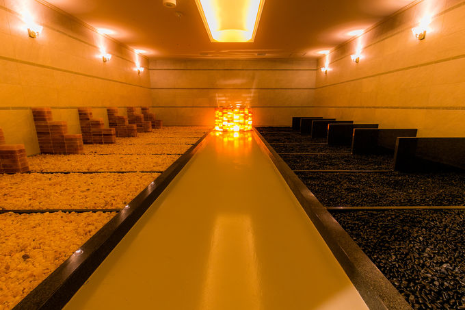 �T�E�i�Ƀv���X�������G���A