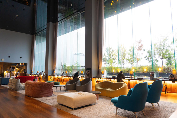 �v�`���]�[�g���Y���X�p�z�e��