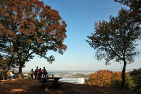 �f�p�ȍg�t�����́I�u�_�ސ쌧������X�ь����v�ŔӏH�n�C�N�̋L���T���l�C��