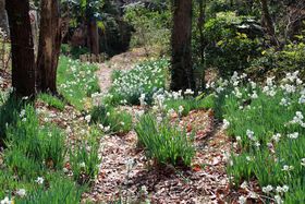 ̍炭~̗RցIt[suƂ݂ܐVv̋LTlC