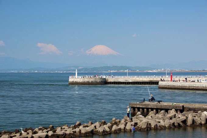 晴れた日には富士も 江の島 の美しい風景を堪能しよう 神奈川県 Lineトラベルjp 旅行ガイド