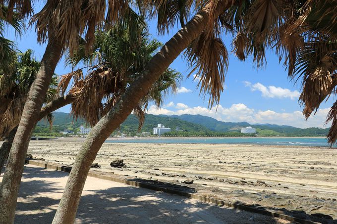 宮崎のビーチや海が楽しめるスポット10選 トラベルjp 旅行ガイド