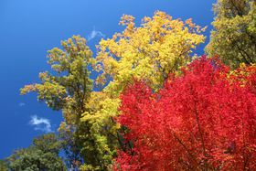 �ΏM���̍g�t�������߁I�ӏH�̓����s�������s�u�H��k�J�v�̋L���T���l�C��