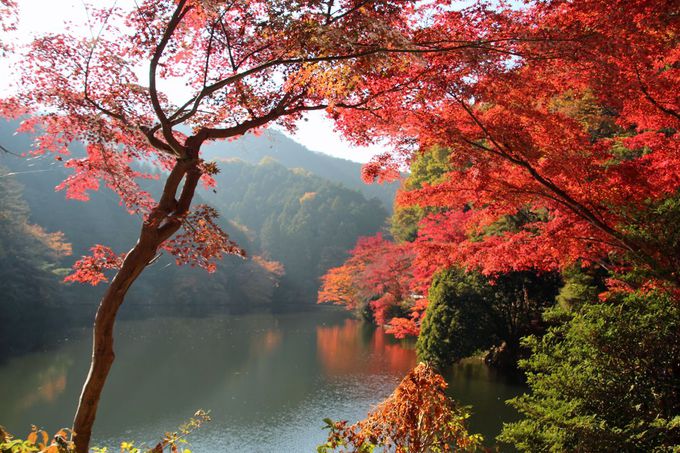 湖面に映る紅葉が美しい 埼玉県毛呂山町 鎌北湖 は隠れた名所 埼玉県 トラベルjp 旅行ガイド