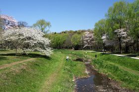 ̑؂I݂͊̍fGIt́usv̋LTlC