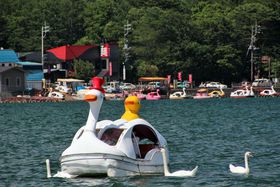 �x�m�R�r���[���ΔȎU�������́I�R���u�R���΁v�ό��̃X�X���̋L���T���l�C��