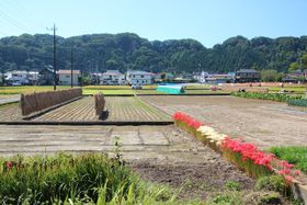 sHsB̐cuOvŏH̕yI̋LTlC